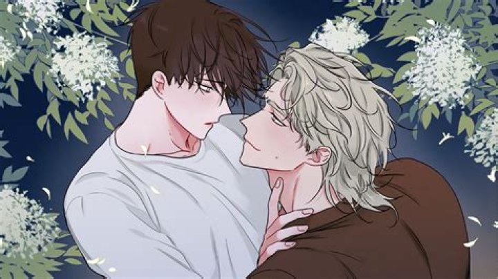 17+ Best BL Manhwa To Experience Boy's Love