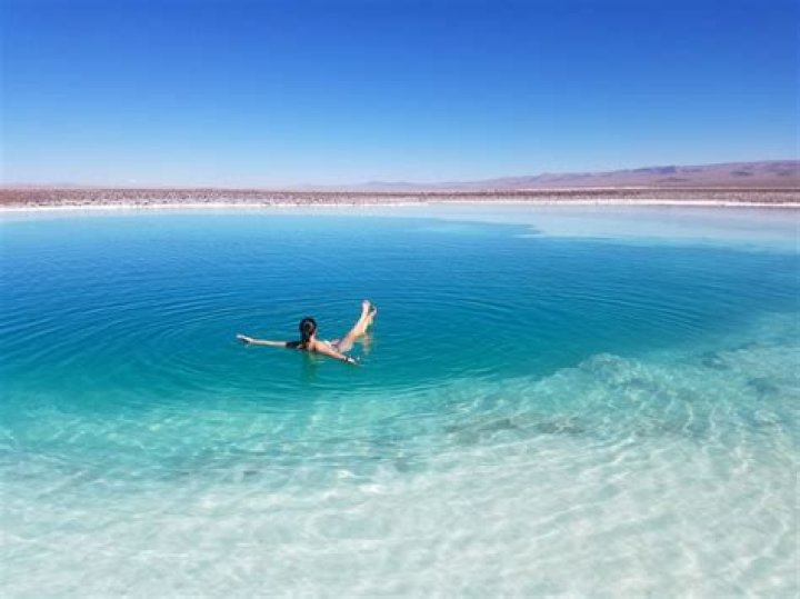 4 salt water pools in San Francisco we'd gladly dive in