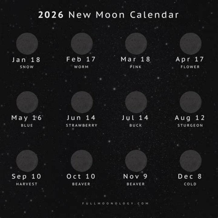 Moon Transit 2022: Dates, Time, Predictions And Houses
